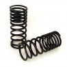 The best Coil Conversion Kit Arnott C-2227 Rang Rover (P38A) for Coil Conversion Kit - luftfjädring24