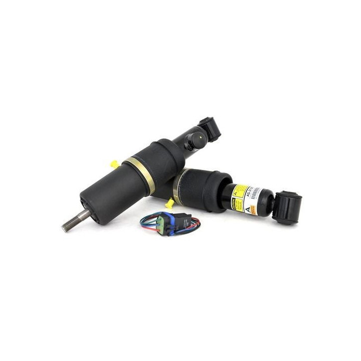 Det bästa Luftfjäderben bak Cadillac Arnott AS-2125 (2-Pack) ⏩ Fjäderben