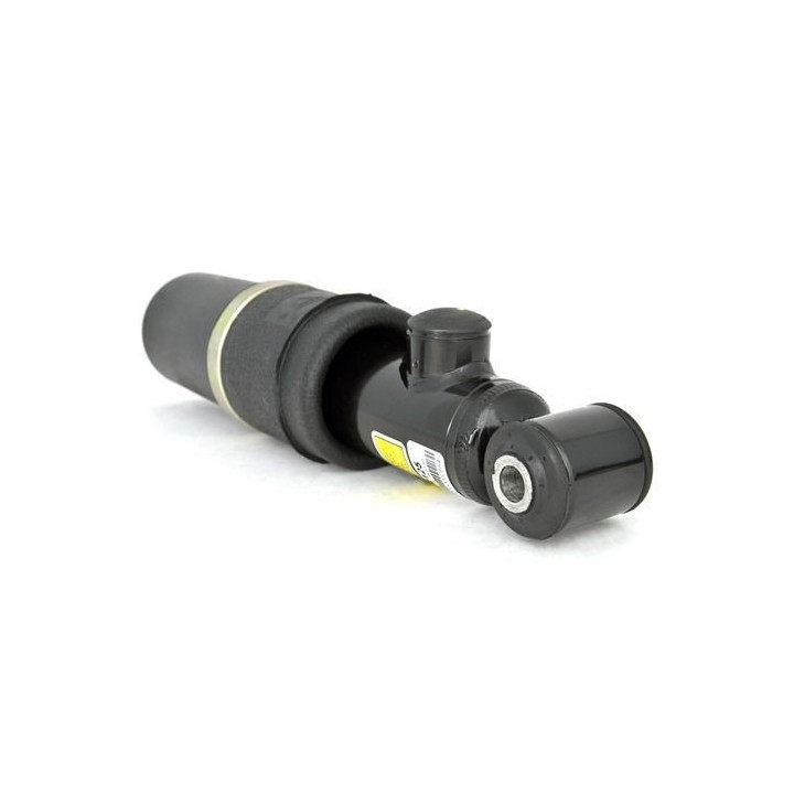 Det bästa Luftfjäderben bak Cadillac Arnott AS-2125 (2-Pack) ⏩ Fjäderben