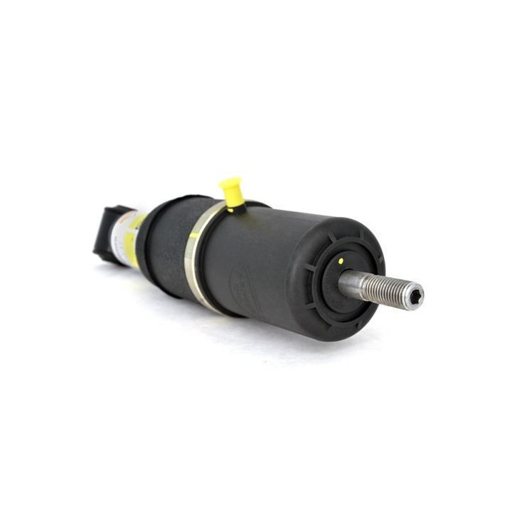 Det bästa Luftfjäderben bak Cadillac Arnott AS-2125 (2-Pack) ⏩ Fjäderben