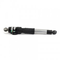 Rear Air Strut Arnott AS-3066