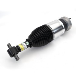 Front Air Strut Arnott AS-4411