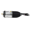 Ilmajousi RAM 1500 MOPAR 68260910AG