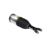 Ilmajousi RAM 1500 MOPAR 68260910AG