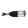 Ilmajousi RAM 1500 MOPAR 68260910AG