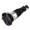 Rear Right Air Strut BMW 5 G31 Vibracoustic 37106894575