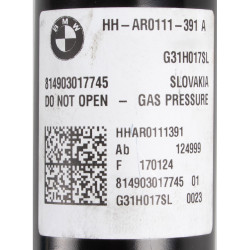 ✅ Luftfjäderben hö bak BMW 5 G31 G32 BMW 37106897854 ✴️ Luftfjädring24