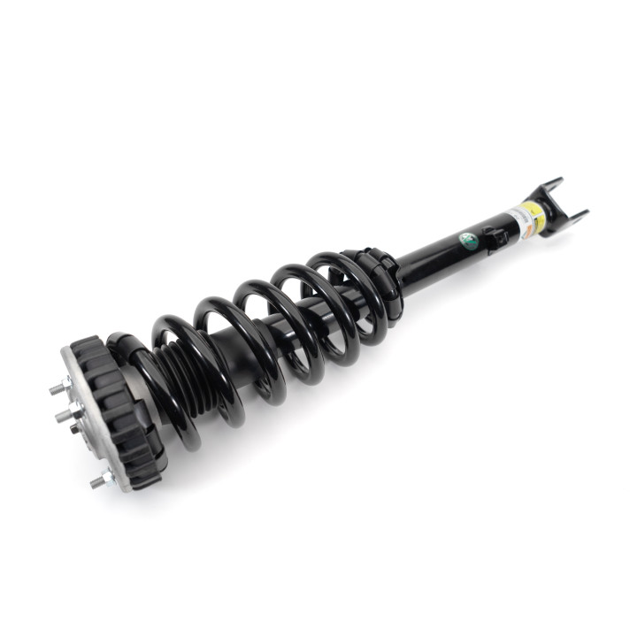 Arnott Coil Spring Conversion Kit - 10-16 Hyundai Equus (VI)