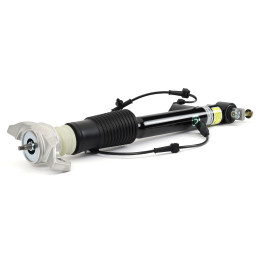 Arnott Rear Right Shock - 13-16 Lincoln MKZ (CD533)
