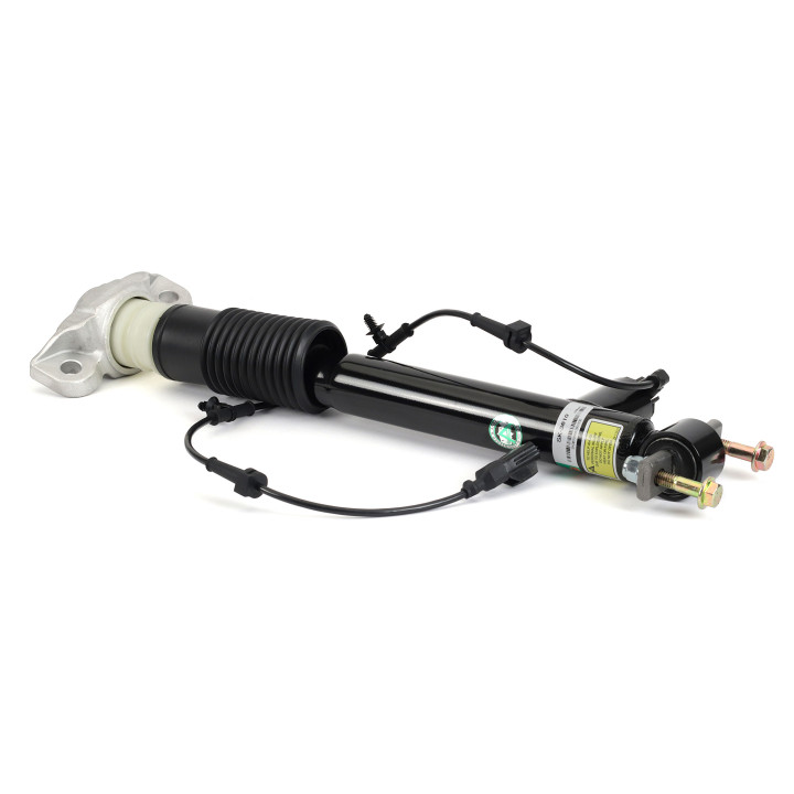 Arnott Rear Right Shock - 13-16 Lincoln MKZ (CD533)