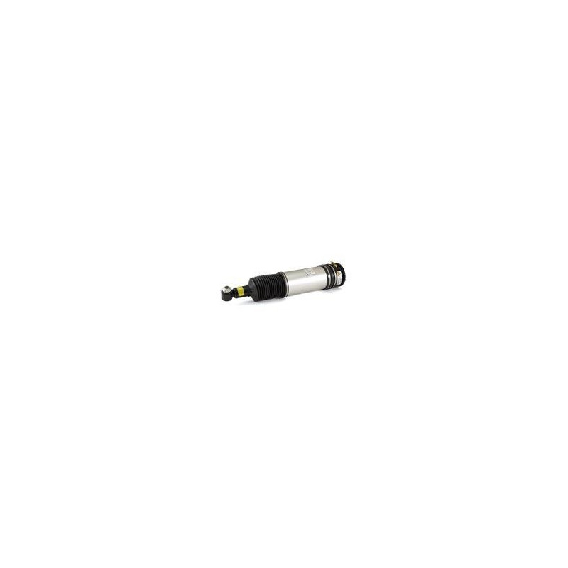 BMW 7 E65/E66 01-08-37126785537 Luftfjäderben bak vä Arnott AS-2687 BMW 7 E65/ E66-Luftfjädring24.se ägs av Mr-Parts Sweden AB SE556909515001