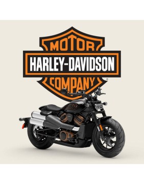 Luftaffjedring  - Harley Davidson -  luftfjädring24