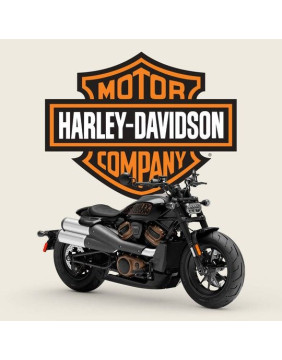 Luftfjæring - Harley Davidson - luftfjädring24